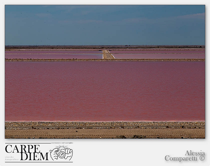 316-1620 x 1080---16L Camargue_2735.jpg